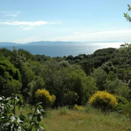 Le Querce App. Ginestra Apartment Capoliveri (Isola d'Elba)